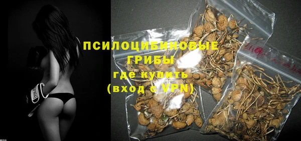 ешки Алексин