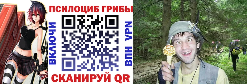 Купить закладки  Сорск  Псилоцибиновые грибы Magic Shrooms 